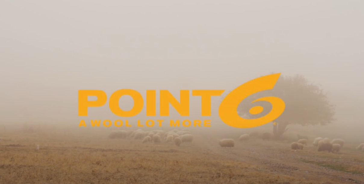 Load video: Your introduction to Point6 and how we provide you with a Wool Lot More.