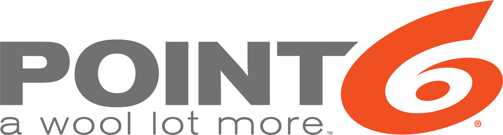 Point6 Logo Colour